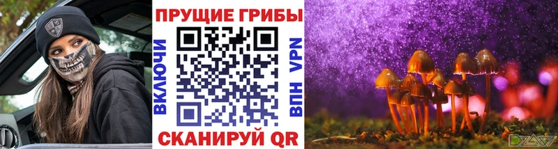 Псилоцибиновые грибы мицелий  Камышлов 